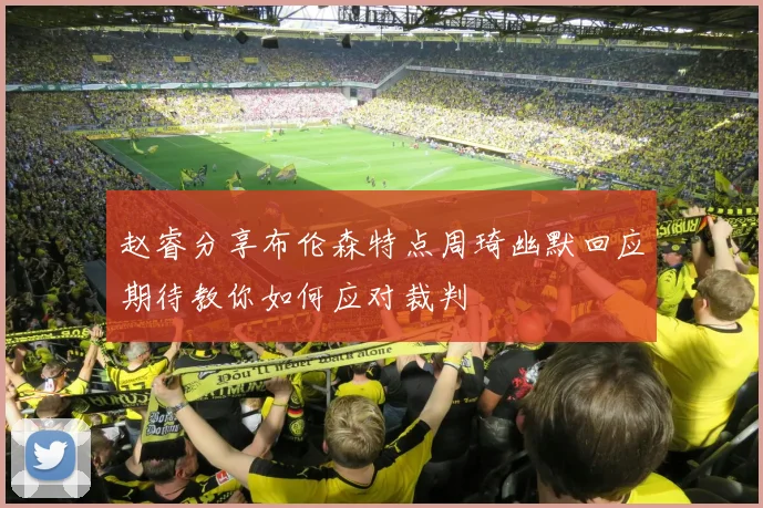 赵睿分享布伦森特点周琦幽默回应期待教你如何应对裁判