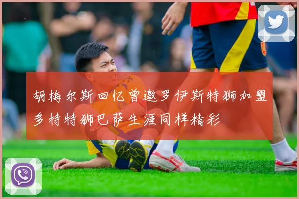 胡梅尔斯回忆曾邀罗伊斯特狮加盟多特特狮巴萨生涯同样精彩