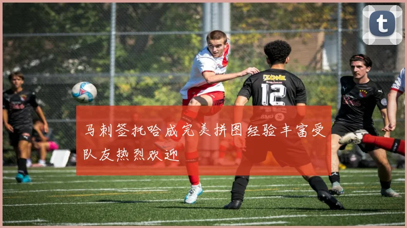 马刺签托哈成完美拼图经验丰富受队友热烈欢迎