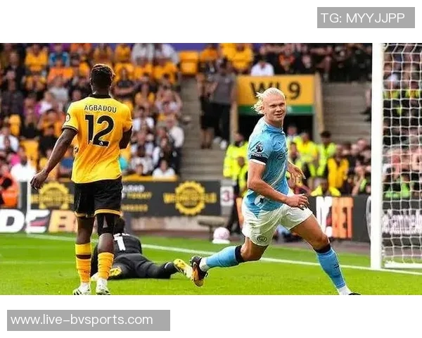 弗兰克执教热刺英超主场表现不佳仅获5分胜伯恩利平曼联与狼队